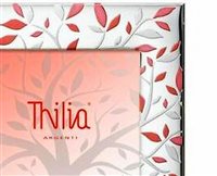 Cornice Thilia in Argento 452957 - 452957